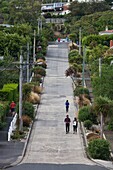 New Zealand, South Island, Otago, Dunedin, Baldwin Street, world's steepest residential street.