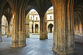 Cloisters at Saint Pierre Cathedral, Condom, Gers Department,Aquitaine, France.