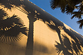 Shadow of palm trees on corrugated wall against sky