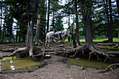 Caucasian girl petting horse in forest near puddles
