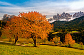 Val di Funes, Trentino Alto Adige, Italy, Autumn colors in Val di Funes