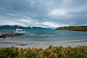 Argentina, Patagonia, Tierra del Fuego National Park, Ushuaia, Beagle Channel, Bridges Islands