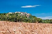 France, Provence, Mont Fort