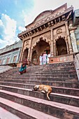 Asia, India, Uttar Pradesh, Nandgaon, a dog sleeping on the steps of the temple