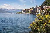 View of the town of Bellagio, Lake Como, Lombardy, Italy