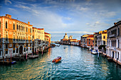 Italy, Veneto, Venice, Grand Canal and Santa Maria della Salute church from Accademy Bridge
