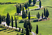 Road with cypresses, Orcia Valley, Siena district, Tuscany, Italy