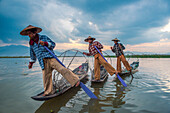 Inle lake, Nyaungshwe township, Taunggyi district, Myanmar Burma , Thee local fishermen rowing in row