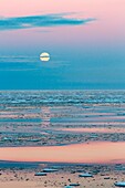 full moon rises above sea ice in the arctic ocean, svalbard