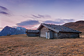 Europe, Italy, South Tyrol, Alpe di Siusi - Seiser Alm, Characteristic mountain barns with Sassolungo/Langkofel and the Sassopiatto/Plattkofel in the background, Dolomites