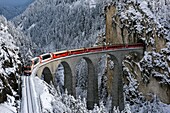 Bernina express , Grigioni-Switzerland