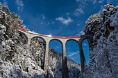 Viaduct Landwasser- Grigioni , Switzerland