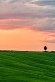 Val D'orcia - Tuscany, Italy