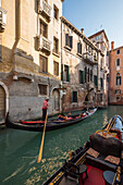 Venice - Veneto, Italy