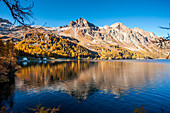 Lagrev peak, Sils lake, Switzerland, Engiadin