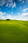 San Quirico d'Orcia, Tuscany, Italy