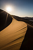 Sunset backlight on Sossusvlei dune