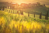 Podere Baccoleno, Asciano, Crete senesi, Tuscany, Italy