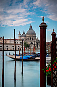 Venice, Veneto, Italy View of the Basilica Santa Maria della Salute