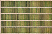 Full frame shot of agricultural field, Hohenheim, Stuttgart, Baden-Wuerttemberg, Germany