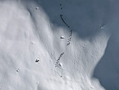 Distant view of skiers on snow covered field