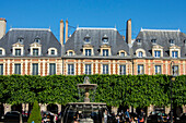 France, Paris, Place des Vosges with pruned trees in the garden
