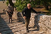 Greece, Plan of Thessaly, Valley of Penee, World Heritage of UNESCO since 1988, Orthodox Christian monasteries of Meteora perched atop impressive gray rock masses website sculpted by erosion, Pyli village, stone bridge of the 15th century, a mule driver