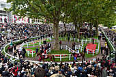 France, Paris 16th district, Longchamp Racecourse, Qatar Prix de l'Arc de Triomphe on October 4th and 5th 2014