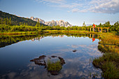 Löckermoos mit Gosaukamm, Gosau, Salzkammergut, Oberösterreich, Österreich, Europa