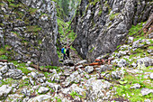 Wanderer in der Notgasse, Kemetgebirge, Dachsteinmassiv, Steiermark, Österreich, Europa