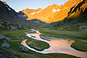 Morgenstimmung, Hohes Moos bei der Neuen Regensburger Hütte, Stubaital, Tirol, Österreich, Europa
