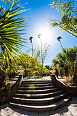 Steps against the light in the historical Koreshan State Park framed by palm trees, Fort Myers, Florida, USA