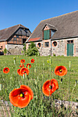 Gehöft aus eiszeitlichen Steinen in Neuensund, Mecklenburgische Seen, Mecklenburgisches Seenland, Mecklenburgische Seenplatte, Mecklenburg-Vorpommern, Deutschland, Europa