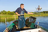 Fisherman Dieter Bork fishing, lake fishery, lake Woblitzsee, Mecklenburg lakes, Mecklenburg lake district, Wesenberg, Mecklenburg-West Pomerania, Germany, Europe
