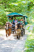 Family n horse drawn carriage, ride in a charabanc through wild park Boek, Müritz National Park,  Mecklenburg lakes, Mecklenburg lake district, Boek, Mecklenburg-West Pomerania, Germany, Europe