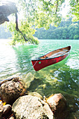 Red canoe in green water, tree, stones at shore, crystal clear green water, lake Schmaler Luzin, holiday, summer, swimming, Feldberg, Mecklenburg lakes, Mecklenburg lake district, Mecklenburg-West Pomerania, Germany, Europe