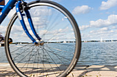 cycling at lake Müritz, the largest lake of Germany, Müritz National Park, Mecklenburg lakes, near Rechlin, Mecklenburg-West Pomerania, Germany, Europe