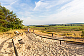 dunes of the valley of river Elbe, near Klein Schmölen, Mecklenburg lakes, Dömitz, river Elbe, Mecklenburg-West Pomerania, Germany, Europe
