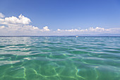 Türkisfarbenes Wasser am Gardasee, Oberitalienische Seen, Venetien, Norditalien, Italien, Südeuropa, Europa