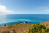 Coastline of Maro, palm tree, lat. Coryphoideae, near Nerja, Costa del Sol, Mediterranean Sea, Malaga province, Andalucia, Spain, Europe
