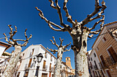 Hauptstraße mit Kirche, Velez-Blanco,  pueblo blanco, weißes Dorf, Provinz Almeria, Andalusien, Spanien, Europa