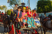 horse-drawn carriage at the Feria de Abril, Seville Fair, spring festival, Sevilla, Seville, Andalucia, Spain, Europe