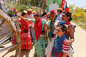 Pilgrims and Simpecado cart, El Rocio pilgrimage, Pentecost festivity, Huelva province, Sevilla province, Andalucia, Spain, Europe