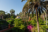 Pabellon de Carlos V., palm trees, Jardines del Real Alcazar, royal palace, UNESCO World Heritage, Sevilla, Andalucia, Spain, Europe