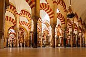 prayer hall with columns, La Mezquita, mosque, moorish achitecture, historic centre of Cordoba, UNESCO World Heritage, Cordoba, Andalucia, Spain, Europe
