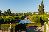 pond and cypress trees in the gardens of the Alcazar de los Reyes Cristianos, royal residence, historic centre of Cordoba, UNESCO World Heritage, Cordoba, Andalucia, Spain, Europe