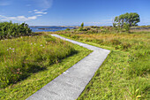 Path down to the sea by the Atlantic Ocean Road, near Bud, More og Romsdal, Western Norway, Norway, Scandinavia, Northern Europe, Europe