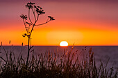 Sonnenuntergang über der Ostsee auf der Insel Rügen, Mecklenburg-Vorpommern, Ostsee, Deutschland