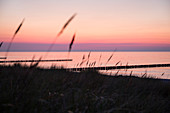 sunset at the beach, groins, Baltic Sea, Zingst,  Mecklenburg-West Pomerania, Germany