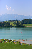 Südostufer des Forggensee, Füssen, Oberallgäu, Allgäu, Schwaben, Bayern, Deutschland